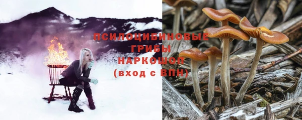мескалин Аркадак