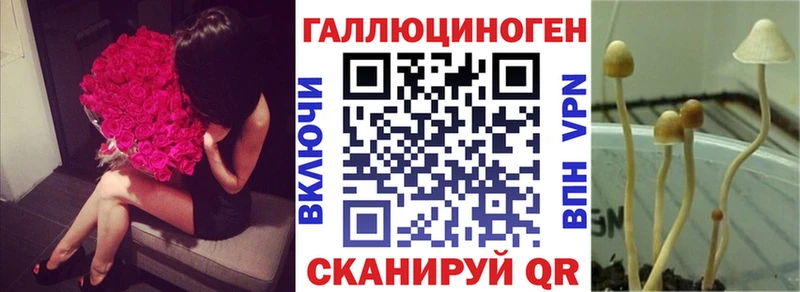 магазин    Коломна  Псилоцибиновые грибы мухоморы 